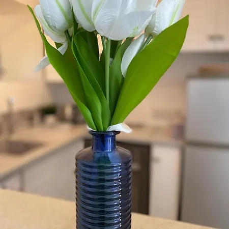 Elite At Ikaria Village Recently Renovated 公寓 *