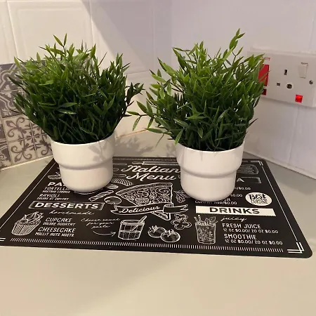 公寓 Elite At Ikaria Village Recently Renovated