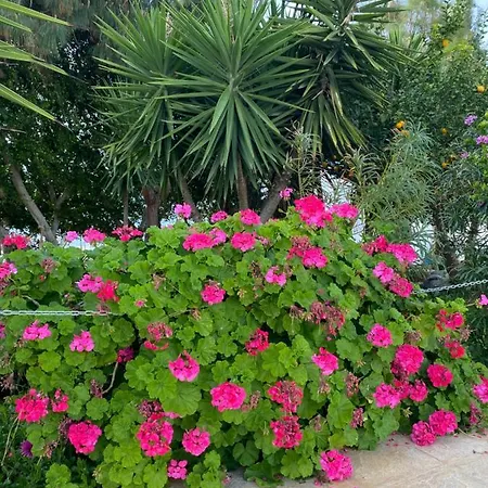 Elite At Ikaria Village Recently Renovated Apartment