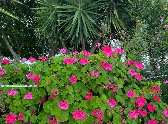 Elite At Ikaria Village Recently Renovated Lejlighed